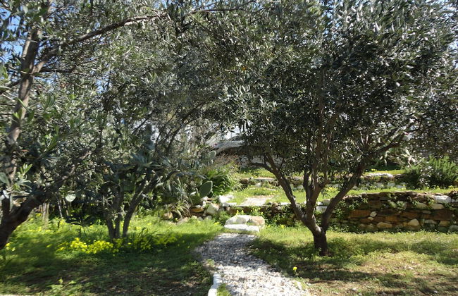 Meltemi Studios and Apartments - Foto 11