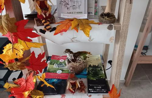 Gîte spacieux près du zoo de Beauval avec cour privative, terrasse, et équipements complets - FR-1-591-371 - Foto 6