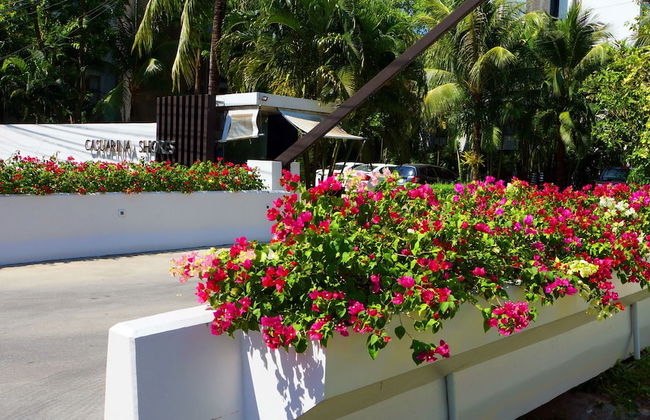 Casuarina Shores - Foto 73