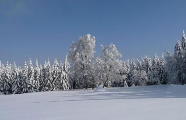 Berggasthof Heuberghaus, direkt am Rennsteig - Foto 19