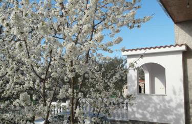 Apartment Antonio - Photo 25