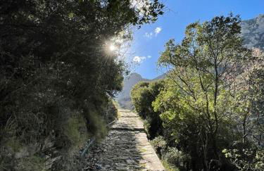 Stonevillas and Seaview Garden Marion - Foto 52