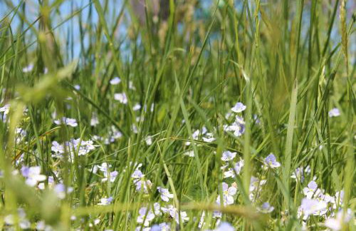 Allgäu Ferienhof Schönberger - Photo 58
