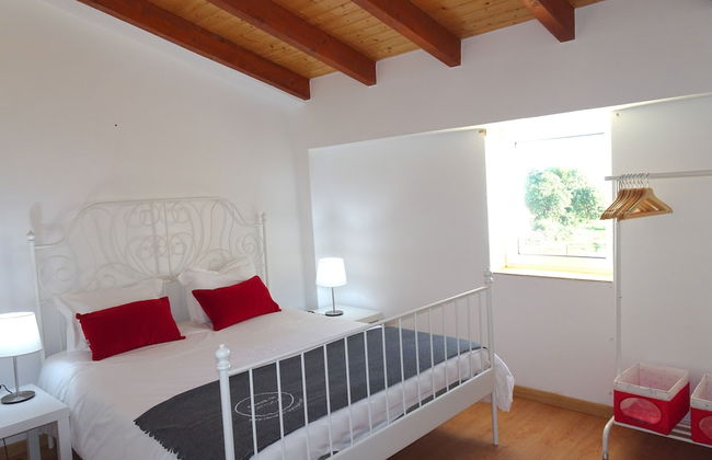 CIP V8 Gold - New!!! - Foto 6