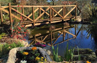 Moinhos do Pisão - Foto 28