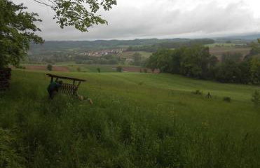 Ferienwohnung Zum Bienenstock - Photo 7