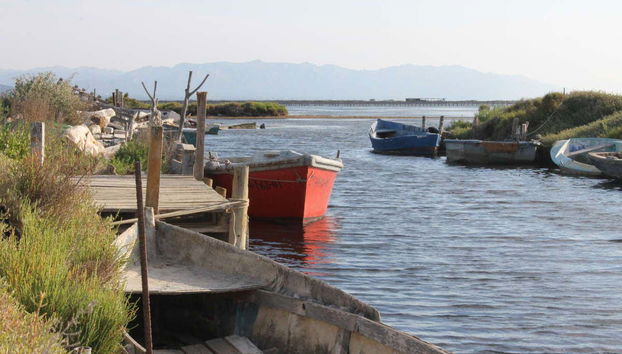 Tour por el Delta del Ebro - Foto 3, Embarcadero en el Delta del Ebro