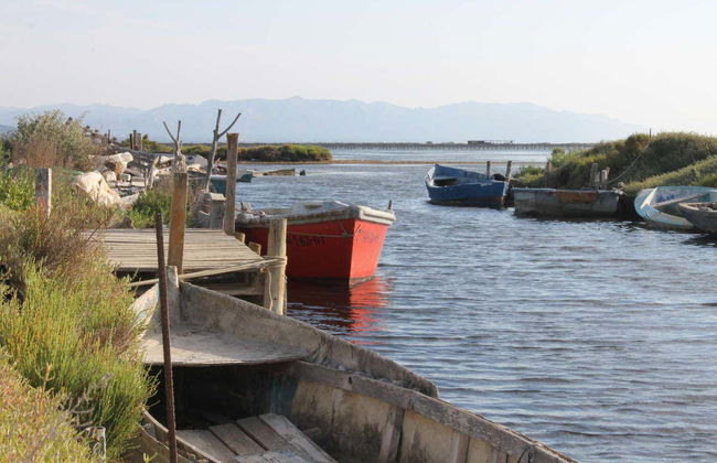 Tour por el Delta del Ebro - Foto 3