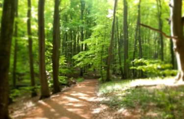 Ferienhaus Am Anger - Foto 27