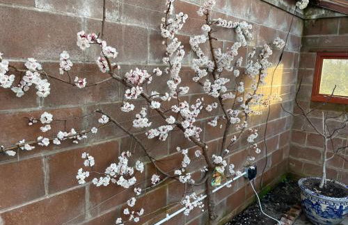 The Stables - Luxury Cottage - Foto 49