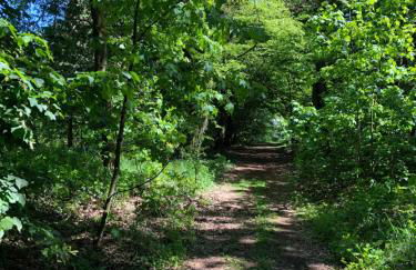 BrandenburgApartments-POTSDAM - Foto 15