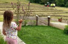 Ferienwohnung Andre - Foto 18