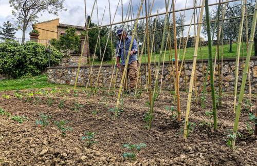 Podere Bellavista - Foto 87