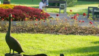 Bartelshof Appartementhaus - Foto 5