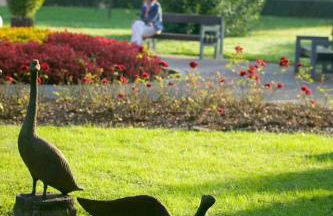 Bartelshof Appartementhaus - Foto 5