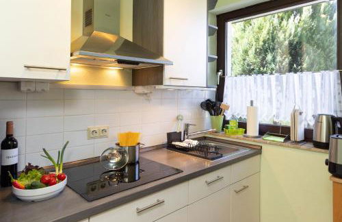 FeWo Harzer Bergwind Sankt Andreasberg, 1 Hund bis 30Kg willkommen, große eingezäunte Terrasse mit Gasgrill - Foto 16