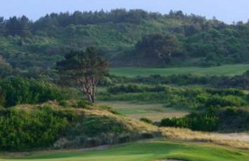 Joie de vivre le touquet - Foto 29