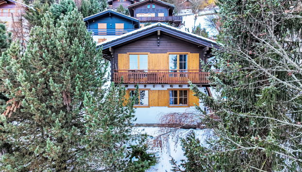 Magicien - Photo 2, House