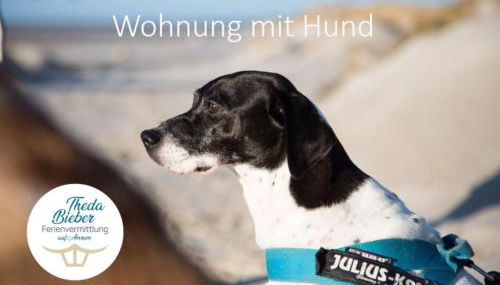 Koje - Hüs in Lee - Foto 2