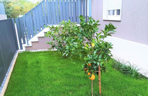 Lemon3 Deluxe Apartment - Photo 32