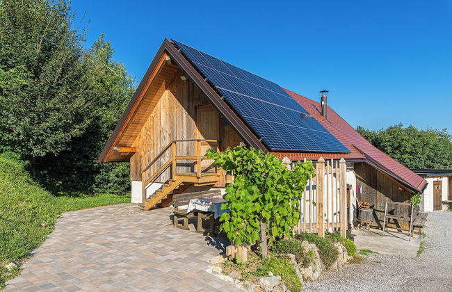 Vineyard cottage Škatlar 3 - Foto 26