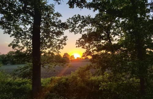 Studio Pachamama - Foto 45