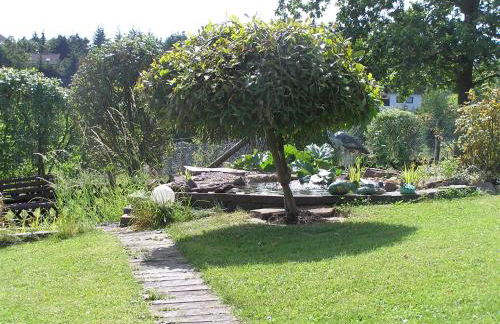 Eifelferienkurth - Photo 60