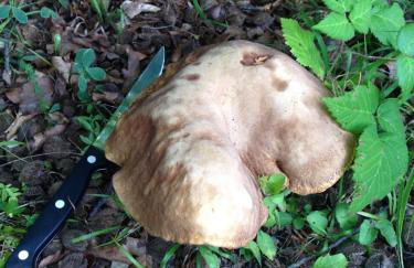 Agriturismo Il Passeggere - Photo 66