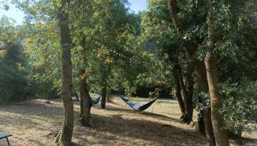 Le Moulin de La Grave - Lagrasse - Foto 5, Garden, Garden view