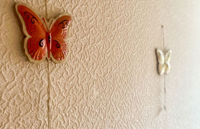 Sonnenhang - Foto 11