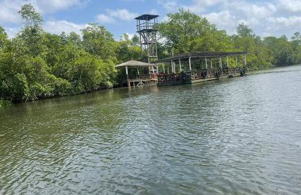 COP30 - Belém - Refúgio perfeito em Benfica-Pará - Photo 35