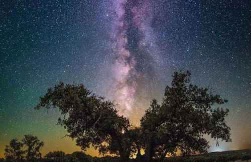 Plaza del Pacifico La Bazana - Foto 20