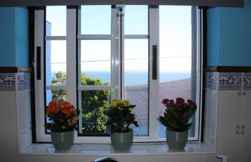 Hello Terceira - Photo 22