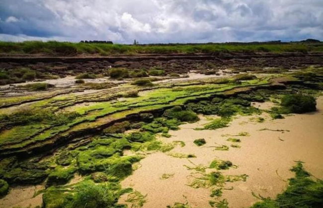 The Cuddly Cow Cosy Barn Studio Campview Farm Stay - Foto 12