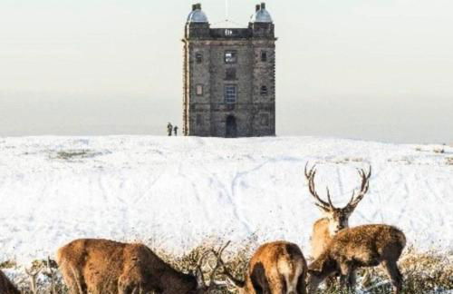 1-Bed House Sleeps 4 Free Parking - Foto 25