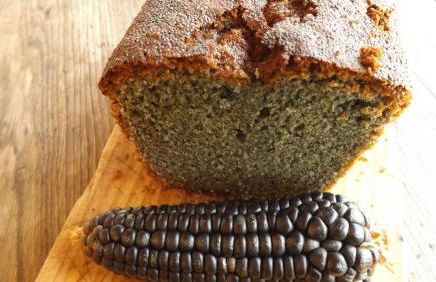 Reitoral de Chandrexa - Foto 19