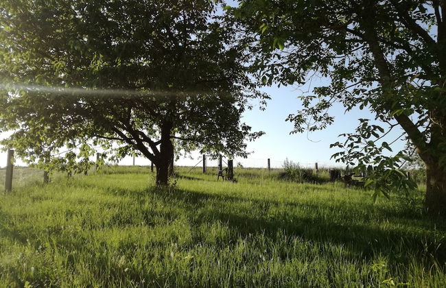 Haus Hutzelbuck - Photo 23