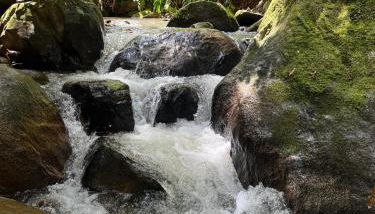 Sítio Ponto de Paz - Foto 4