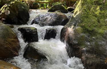 Sítio Ponto de Paz - Photo 4