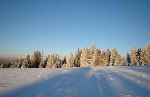 Das Kuenstlerhaus in Kammerstein - Photo 68