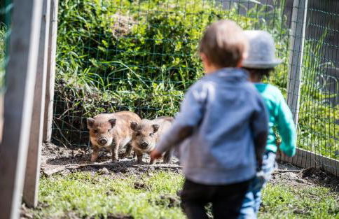 Bachmannhof - Foto 6