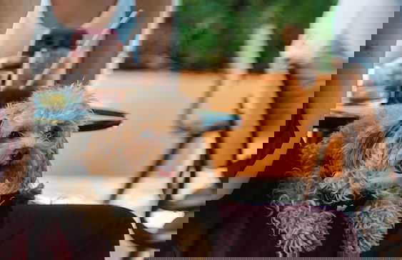 Quinta da Bicuda - Photo 52