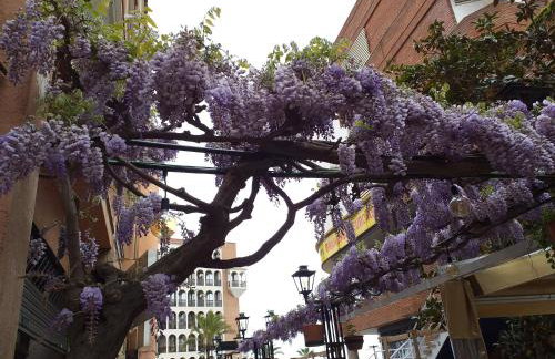 APARTAMENTO con TERRAZA VISTAS AL MAR - Foto 39