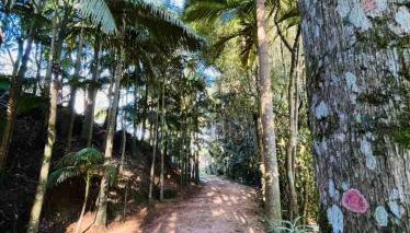 Casa do Sanca - Foto 2