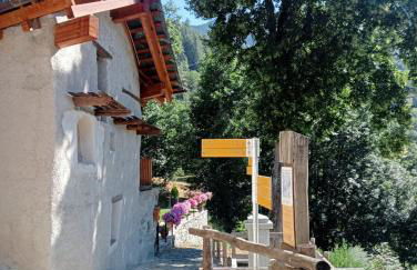 Home Sweet Home - Foto 46