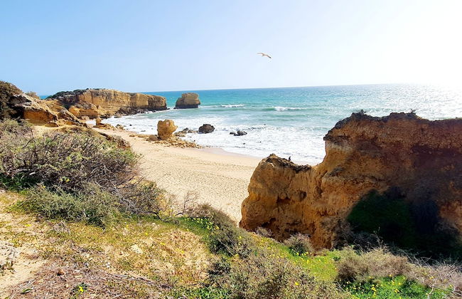 Canameira Beach - Photo 32