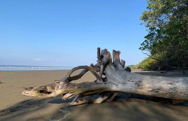 Morning Glory - Foto 76