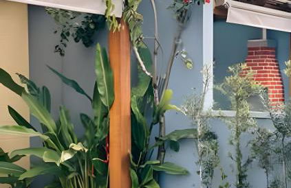 Casinhas Terõ - - Foto 30