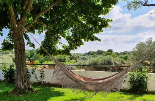 Alto do Sobreiro - Foto 22