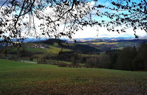 Ferienwohnung am Woid - herrliche Alleinlage - vegane Einrichtung - Foto 27